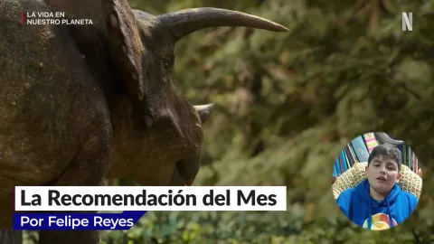 Documental «La vida en nuestro planeta»